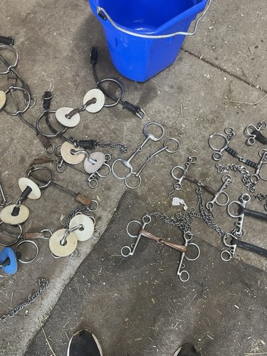Horse bits - ,